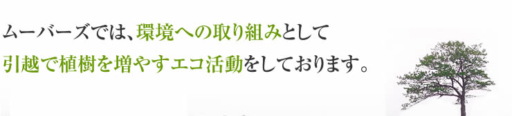 ムーバーズでは、環境への取組みとして引越しで植樹を増やすエコ活動をしております。